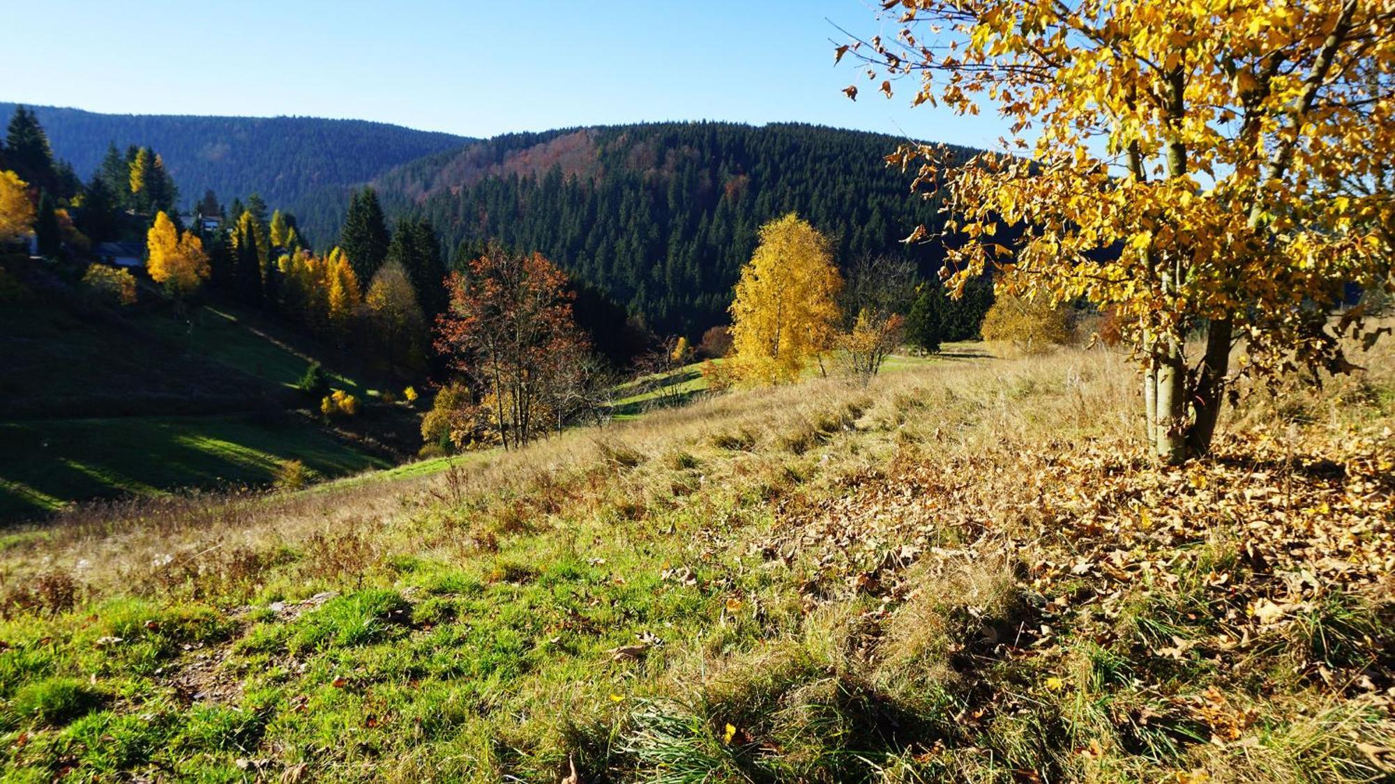 Hotel Beck Lauscha Buitenkant foto