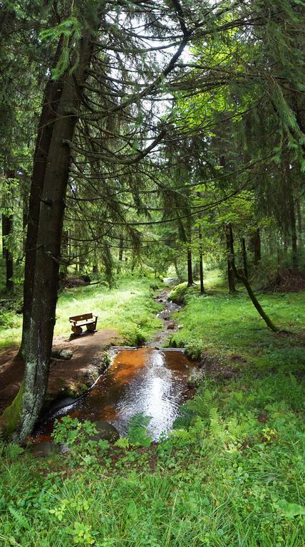 Hotel Beck Lauscha Buitenkant foto