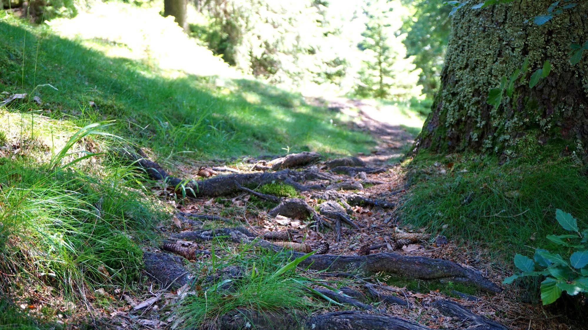 Hotel Beck Lauscha Buitenkant foto